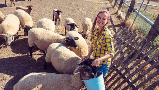 Famer woman with her flock of sheep around her