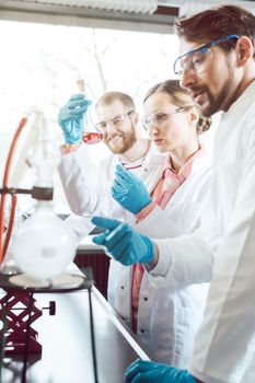 Successful scientists working as a team in the laboratory