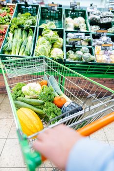 Man shopping in supermarket pushing his trolley with vegetables and groceries