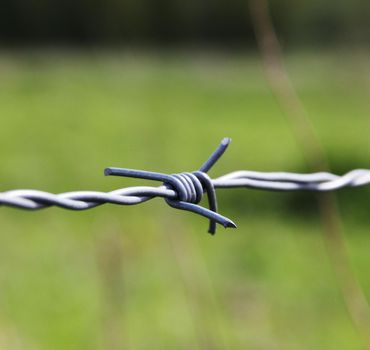 A close up af barbed wire from a fence in a field.