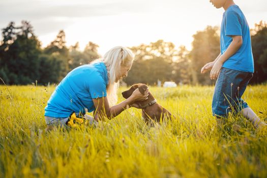 Family with their dog in nature during sunset