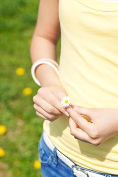 Young woman -only hands to be seen - with daisy