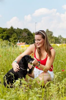 Woman is playing with her dog on a meadow in summer
