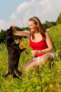 Woman is playing with her dog on a meadow in summer