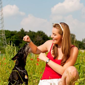 Woman is playing with her dog on a meadow in summer