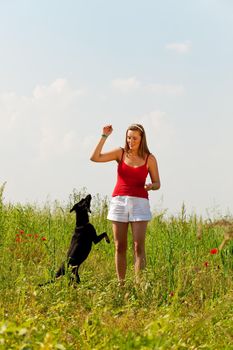 Woman is playing with her dog on a meadow in summer