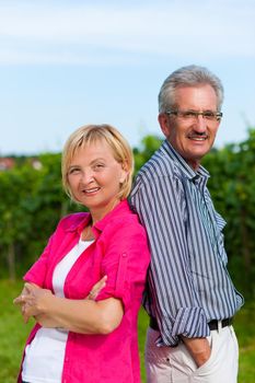 Visibly happy mature or senior couple outdoors in summer