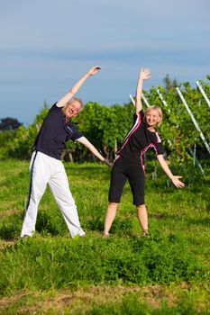 Mature or senior couple in jogging gear doing sport and physical exercise outdoors in a vineyard, stretching and gymnastics