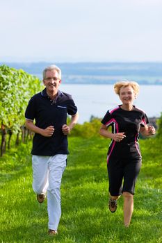 Mature or senior couple doing sport outdoors, jogging down a vineyard in summer