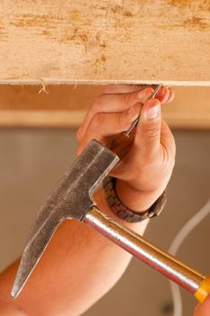 Construction worker - only hand to be seen - with hammer and nail