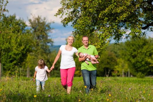 Young family with baby having a walk on a green meadow in the summer sun