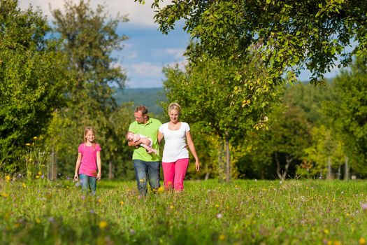 Young family with baby having a walk on a green meadow in the summer sun