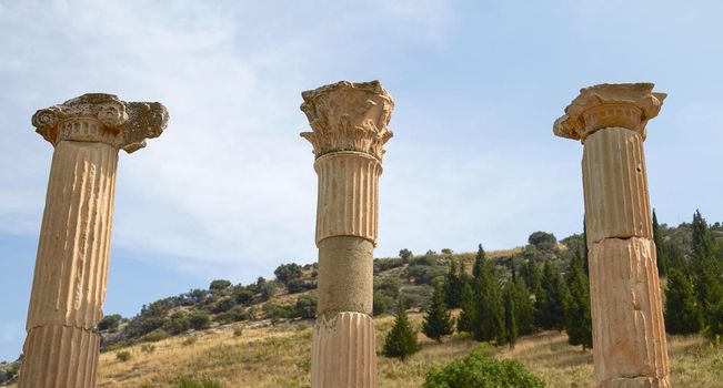 Ancient Ruins and Remains in Ephesus Turkey. Ephesus Contains  Large Collection of Roman Ruins.