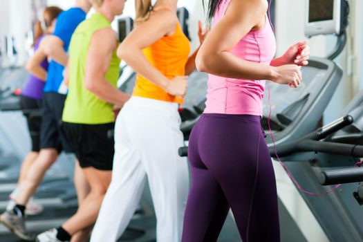 Running on treadmill in gym or fitness club - group of women and men exercising to gain more fitness