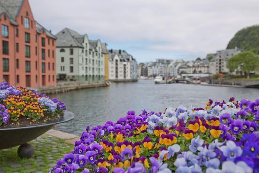 Alesund old town seafront view with Art Nouveau style houses and blooming colorfull flowers.