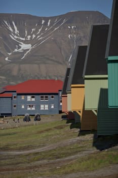 Traditional colorful wooden houses on a sunny day in Longyearbyen Svalbard.