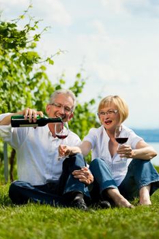 Happy mature couple - senior people (man and woman) already retired - drinking wine at lake in summer