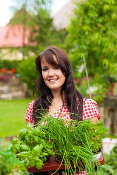 Gardening in summer - happy woman with different kind of fresh herbs