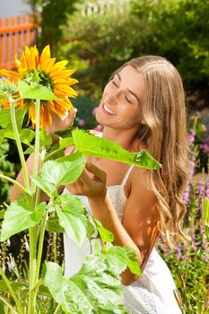 Gardening in summer - happy woman with sun flowers in her garden