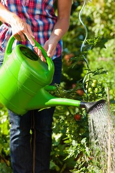 Gardening in summer - woman (only legs) watering plants with water pot