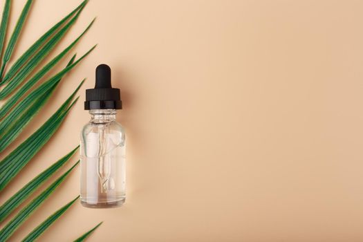 Skin serum in transparent bottle with black cap with palm leaf against beige background with copy space. Concept of anti aging, daily or anti acne treatment