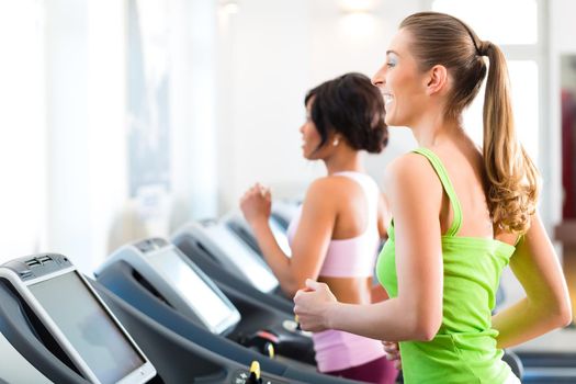 Running on treadmill in gym or fitness club - two women exercising to gain more fitness