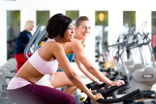 Young People - women Spinning in the gym on fitness bicycles