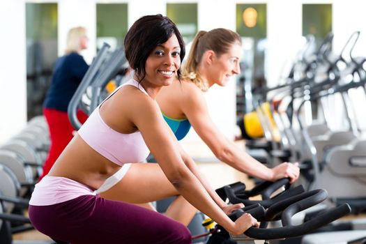 Young People - women Spinning in the gym on fitness bicycles