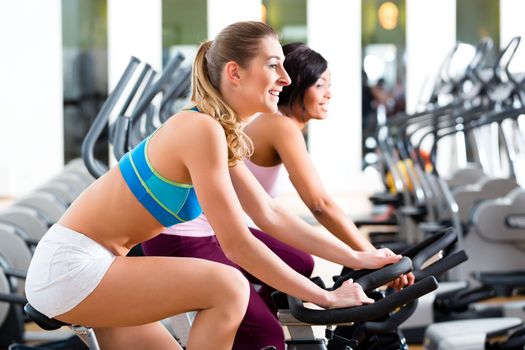 Young People - women Spinning in the gym on fitness bicycles