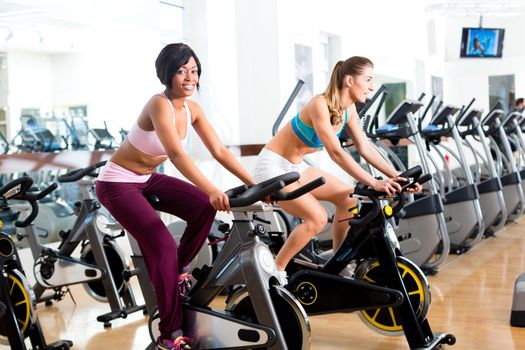 Young People - women Spinning in the gym on fitness bicycles