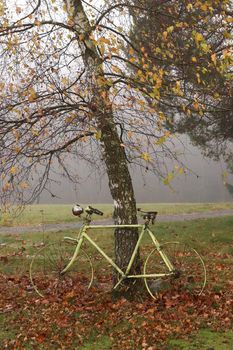 Abandoned old bicycle under autumn birch tree in a foggy day