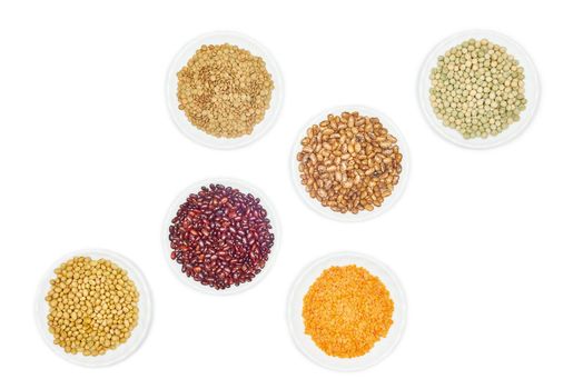 View of various kinds legumes on white background