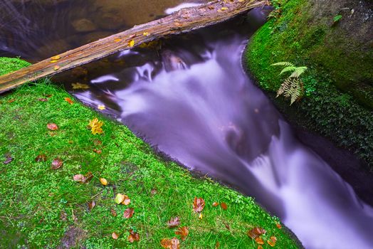 Autumnal view of a flowing brook with rocks