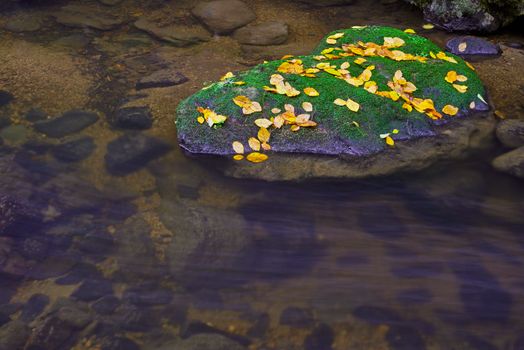 Autumnal view of a flowing brook with rocks