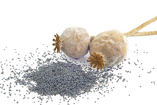 Two poppy seeds on a white background