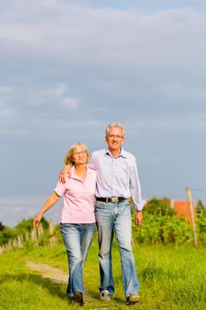 Man and woman, senior couple, having a walk in summer or outdoors in the vineyard