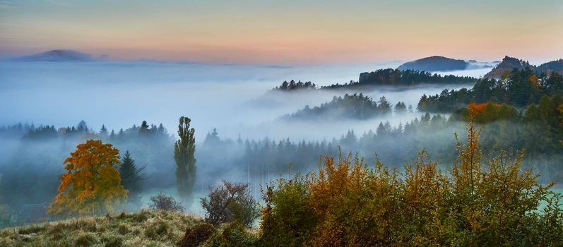 Foggy morning in the romantic landscape of the Czech Switzerland