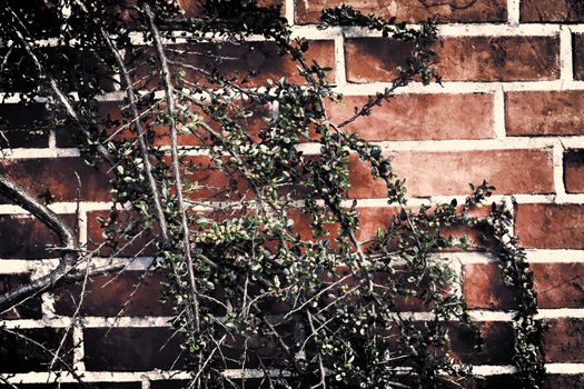 Aged and weathered old brick wall texture in a vintage retro design 