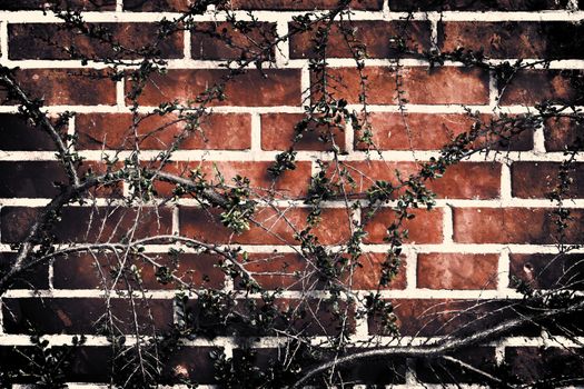 Aged and weathered old brick wall texture in a vintage retro design 