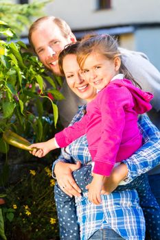 Mother, father and daughter in garden harvesting vegetables