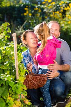 Mother, father and daughter in garden with basket