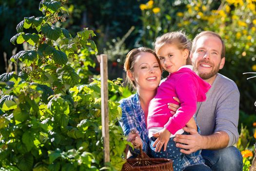 Mother, father and daughter in garden with basket