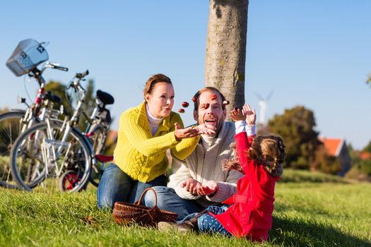 Family with mother, father and daughter having family trip on bicycle or cycle in park or country collecting chestnuts