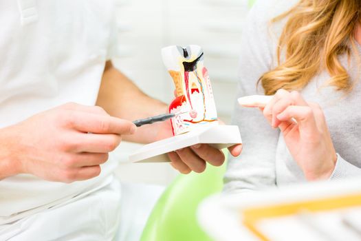 Dentist explaining patient therapy on model tooth