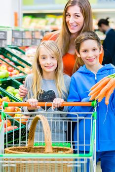 Family selecting fruits and vegetables while grocery shopping in supermarket