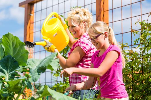 Mother and daughter working in garden watering plants with can