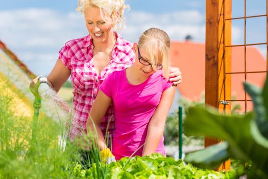 Mother and daughter working in garden harvesting and watering vegetables in front of their house