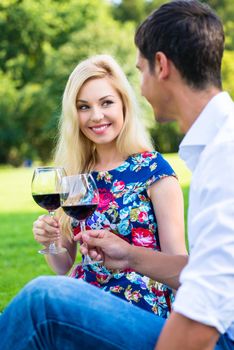 Couple drinking red wine on grass of park at picnic