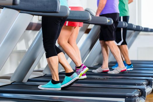 Group of people in gym on treadmill running, only legs to be seen