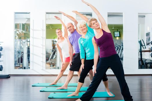 Group of senior people and young woman and men in fitness gym doing gymnastics